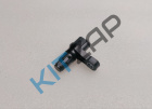 ������ �������� ����