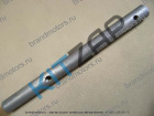 ���� ��� ������ ������� (TAGC) 4�2