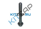 ���� ������� ����� ���������