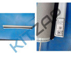 ������ ����